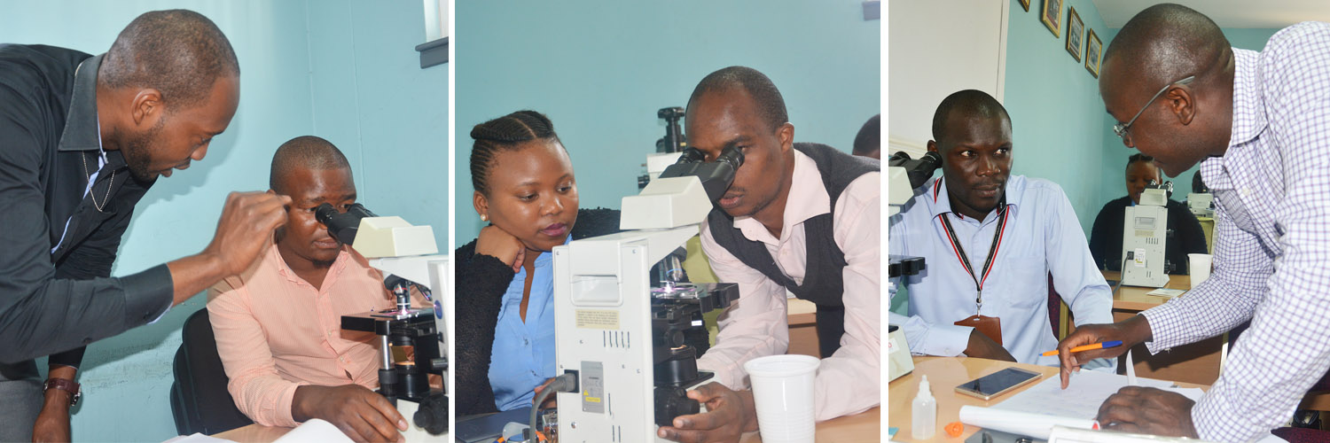 Amref Health Africa Partners with WHO-AFRO to Train Malaria Microscopists