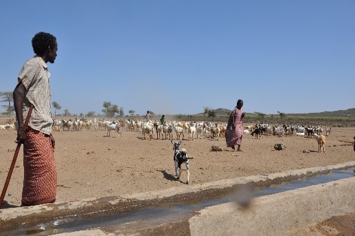 Afar Drought Emergency WASH