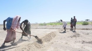 Integrated WASH and Livelihood for Pastoralist Communities in Afar