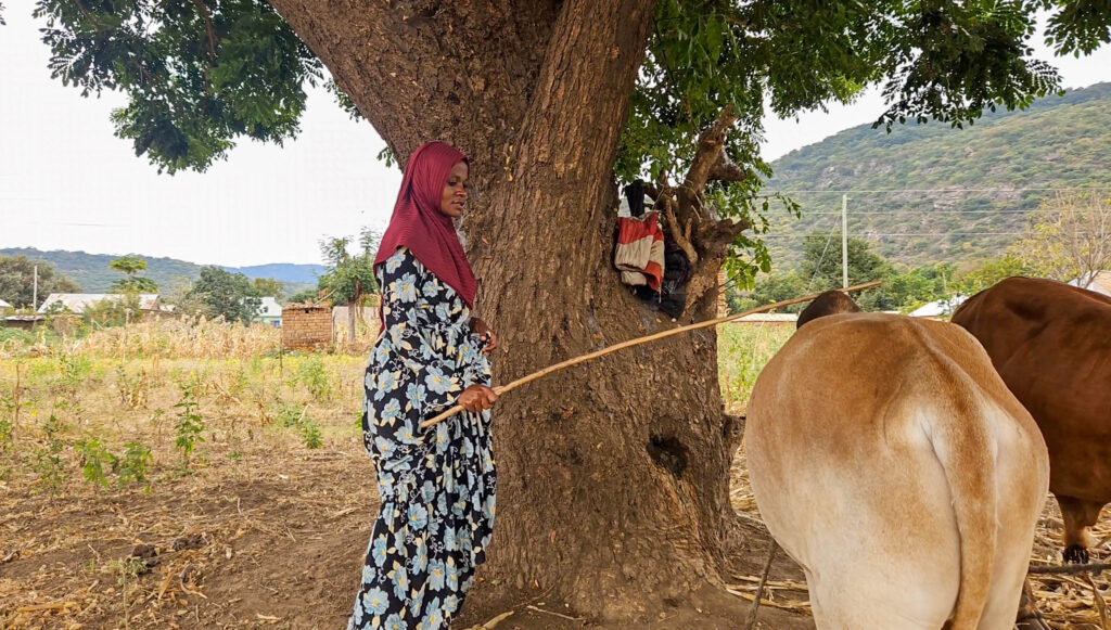 Asha Salum, out-of-school AGYW peer educator in Kondoa Dodoma region, she chose cow breeding as her business © For Amref Health Africa Tanzania.