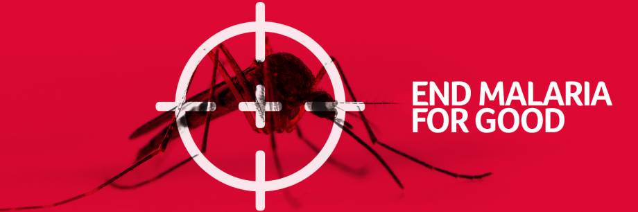 Keep Up The Fight Against Malaria